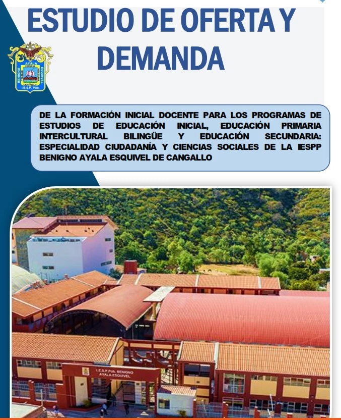 ESTUDIO DE OFERTA Y DEMANDA - CANGALLO