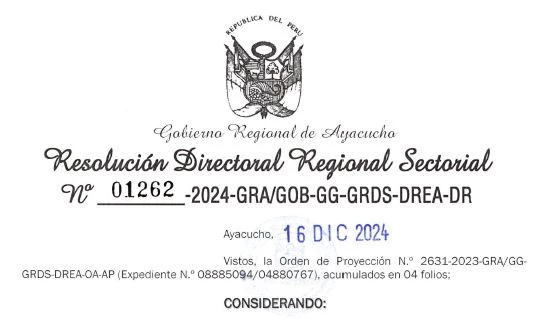 CONVOCATORIA PARA EL PROCESO DE ENCARGATURA DE DIRECTOR GENERAL DE LOS IESPP/EESPP DE LA REGION AYACUCHO