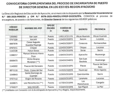 CONVOCATORIA COMPLEMENTARIA PARA ENCARGATURA DE DIRECTORES GENERALES DE LOS IES/IEST- 2026